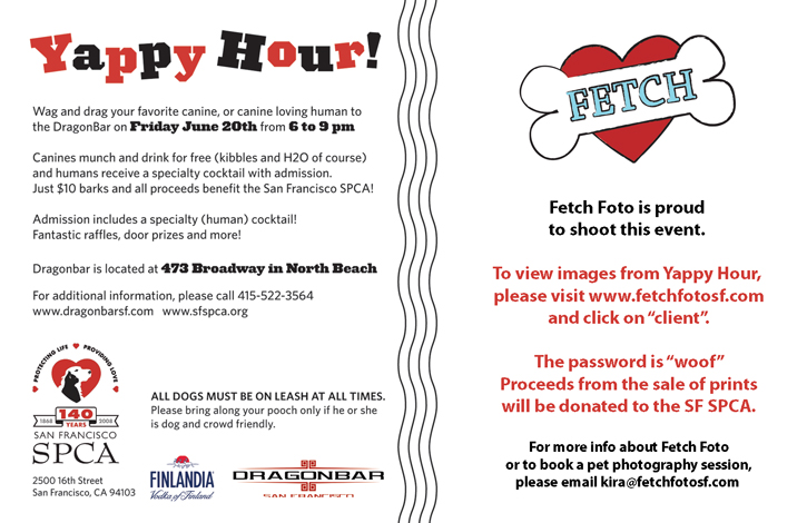 SF SPCA Yappy Hour | San Francisco Pet Photographer