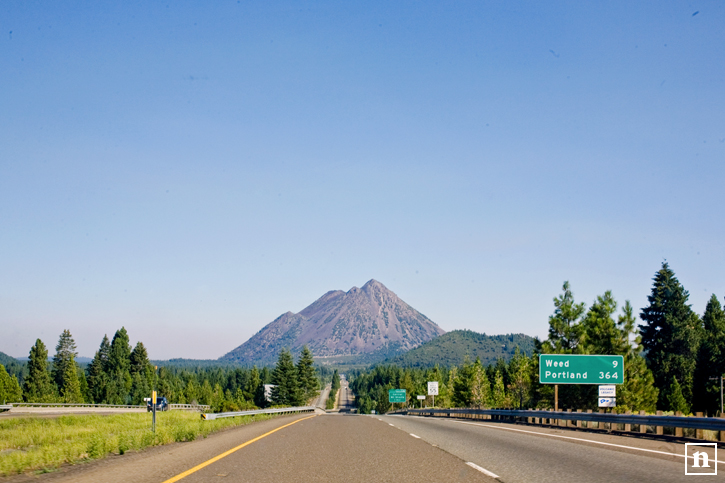 Mount Shasta on the way to Portland | San Francisco Pet Photographer