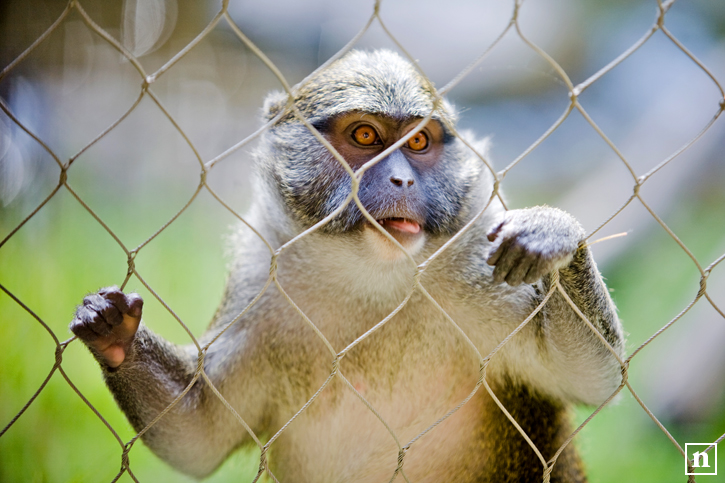 Portland Zoo | San Francisco Photographer