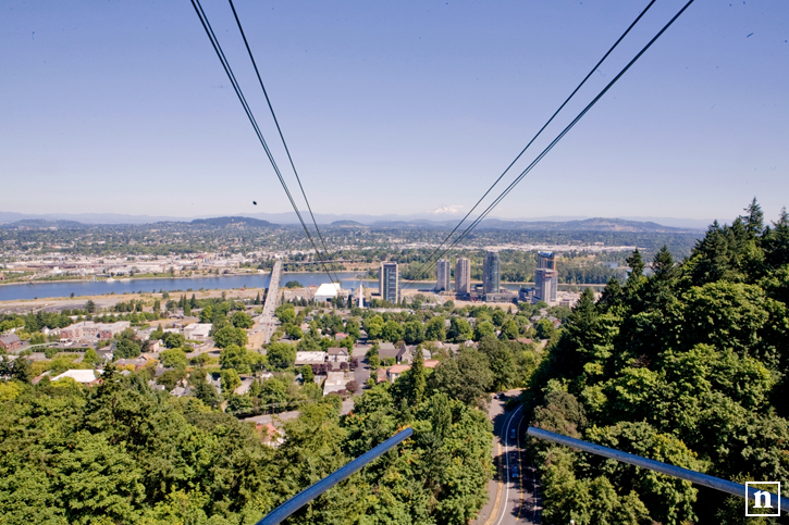 View from the Tram | San Francisco Photographer