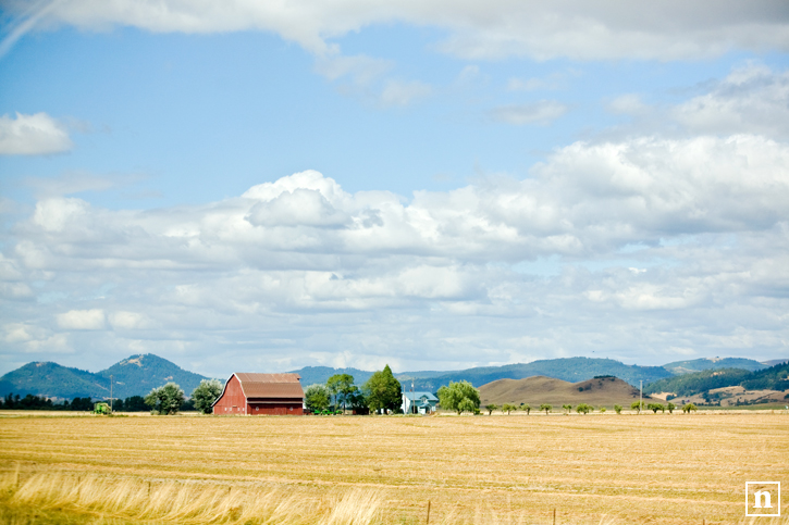 Farm and Sky | San Francisco Pet Photographer