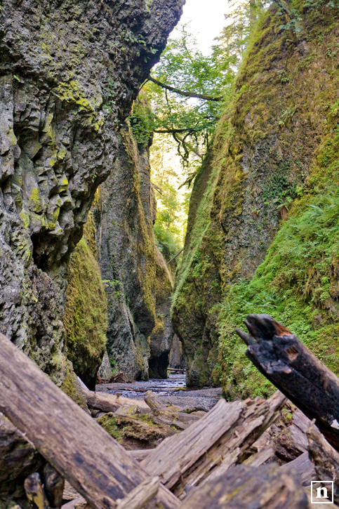 Columbia Gorge | San Francisco Photographer