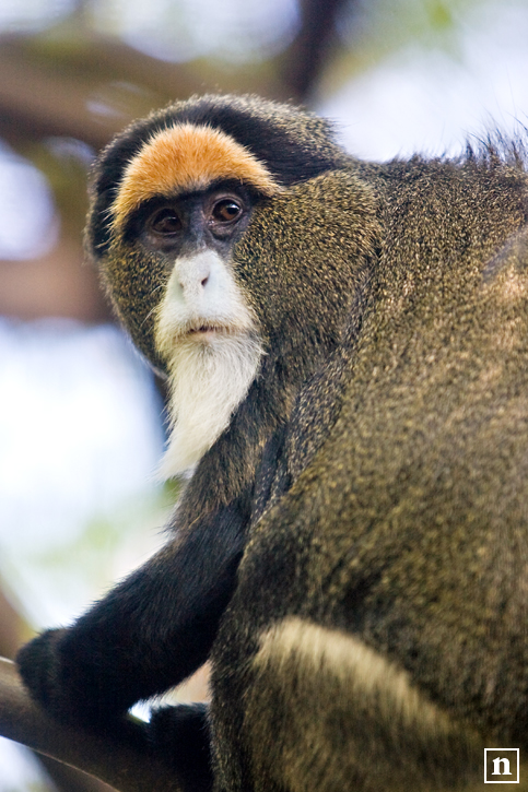 Portland Zoo | San Francisco Photographer