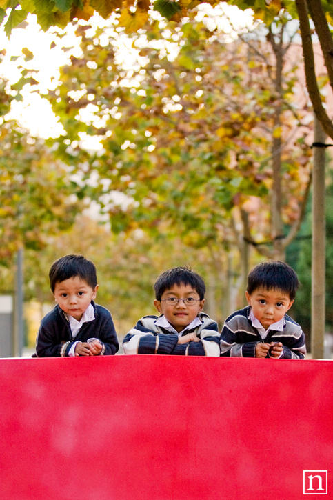 Evan, Nate and Chris | San Francisco Kids Photographer