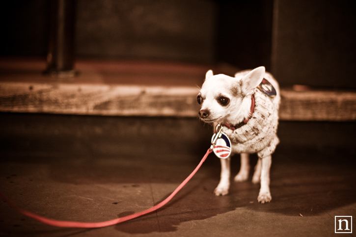 SF SPCA Yappy Hour | San Francisco Event Photography