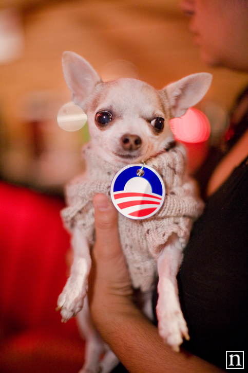 SF SPCA Yappy Hour | San Francisco Event Photography