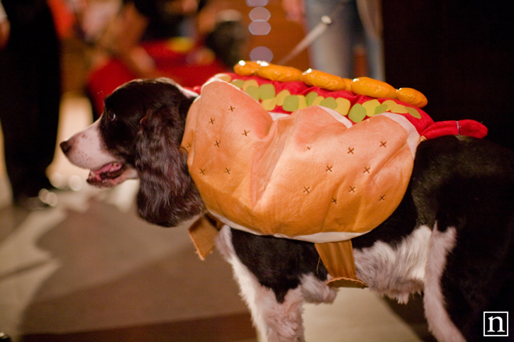 SF SPCA Yappy Hour | San Francisco Event Photography