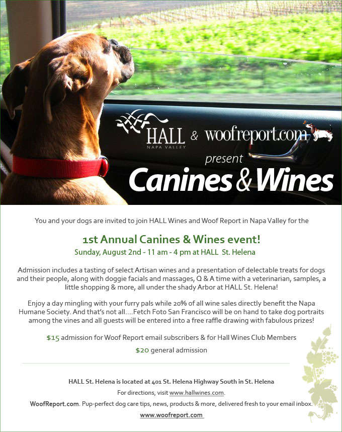 Canines & Wine | San Francisco Dog Photographer