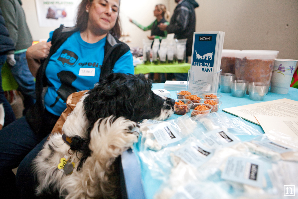 Dogopolis Hollywoof SF | San Francisco Dog Photographer