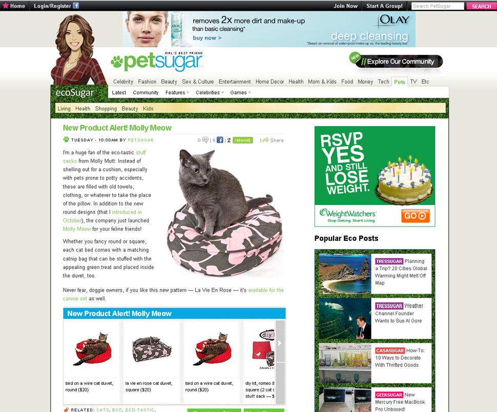 Molly Mutt Cat Model Ponette on Petsugar