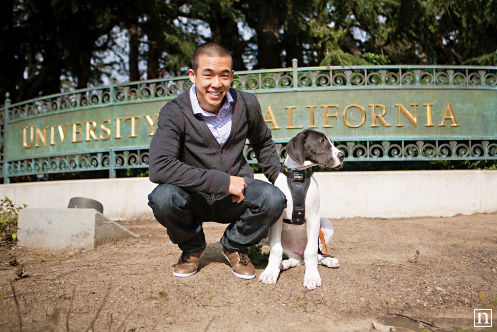 Yohji the Great Dane Puppy | San Francisco Dog Photographer