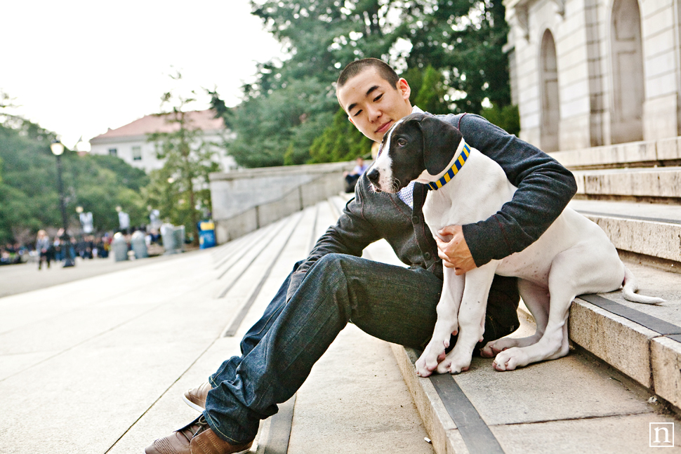 Yohji the Great Dane Puppy | San Francisco Dog Photographer