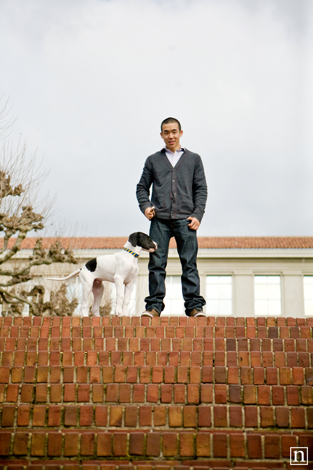 Yohji the Great Dane Puppy | San Francisco Dog Photographer