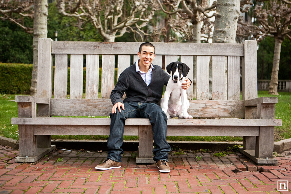 Yohji the Great Dane Puppy | San Francisco Dog Photographer