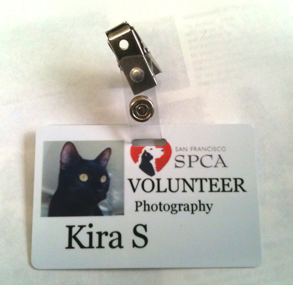 Volunteer Badge SFSPCA