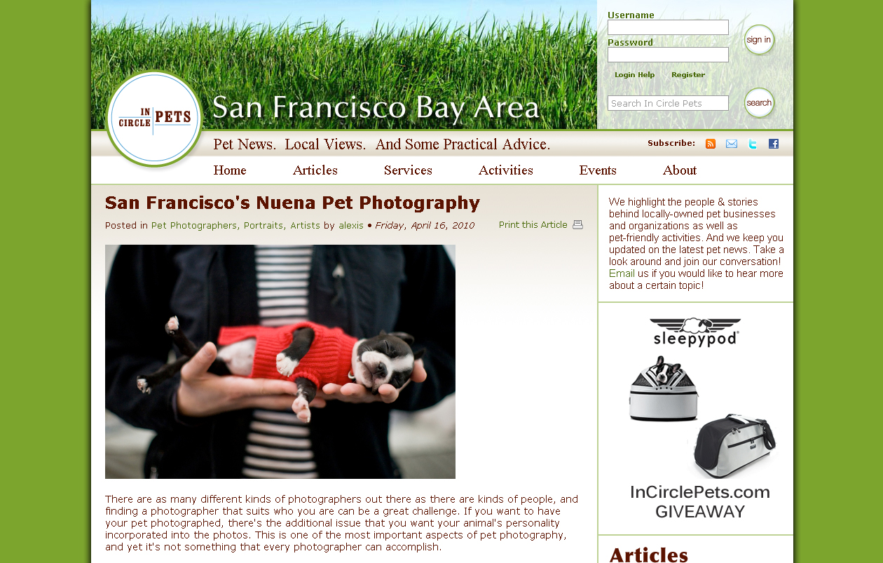 Press: In Circle Pets | San Francisco Dog Photographer