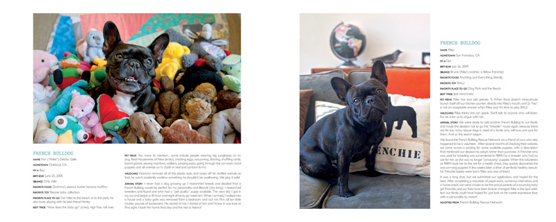 frenchbulldog frenchbulldog