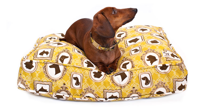 Molly Mutt | San Francisco Commercial Photographer