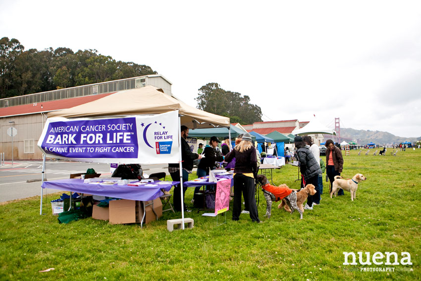 Bark For Life | San Francisco Event Photographer