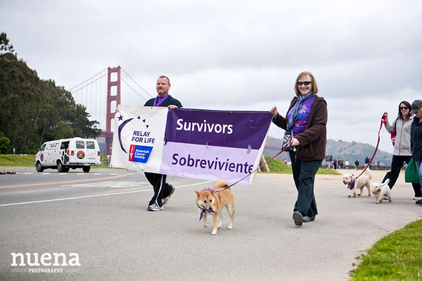 Bark For Life | San Francisco Dog Photographer