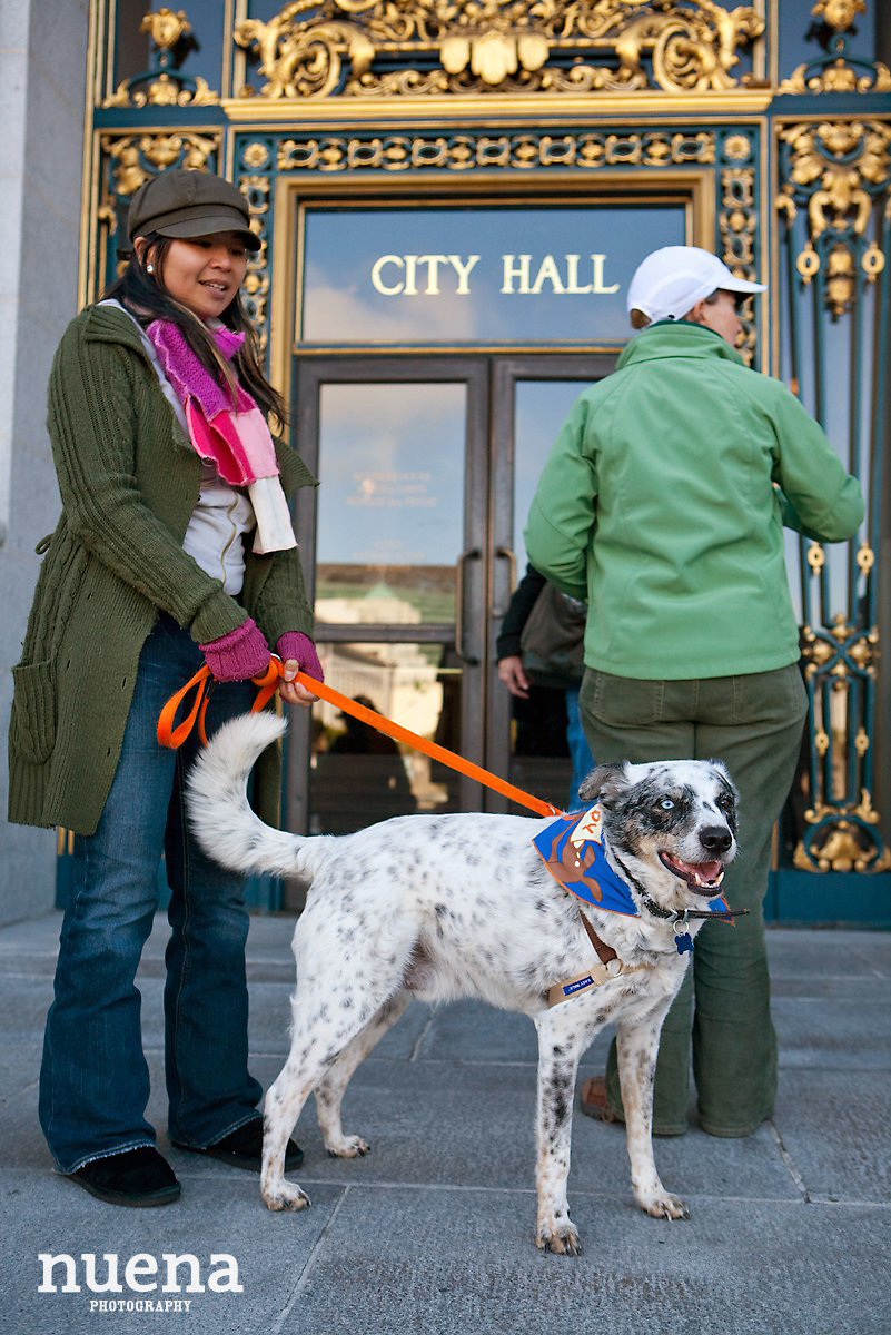 Muttville Senior Rescue Dog Day | San Francisco Dog Photographer