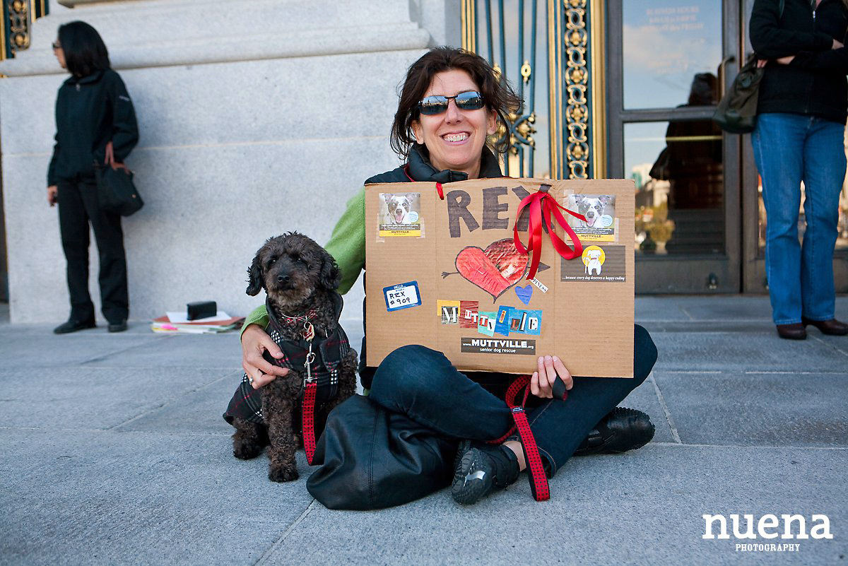 Muttville Senior Rescue Dog Day | San Francisco Dog Photographer