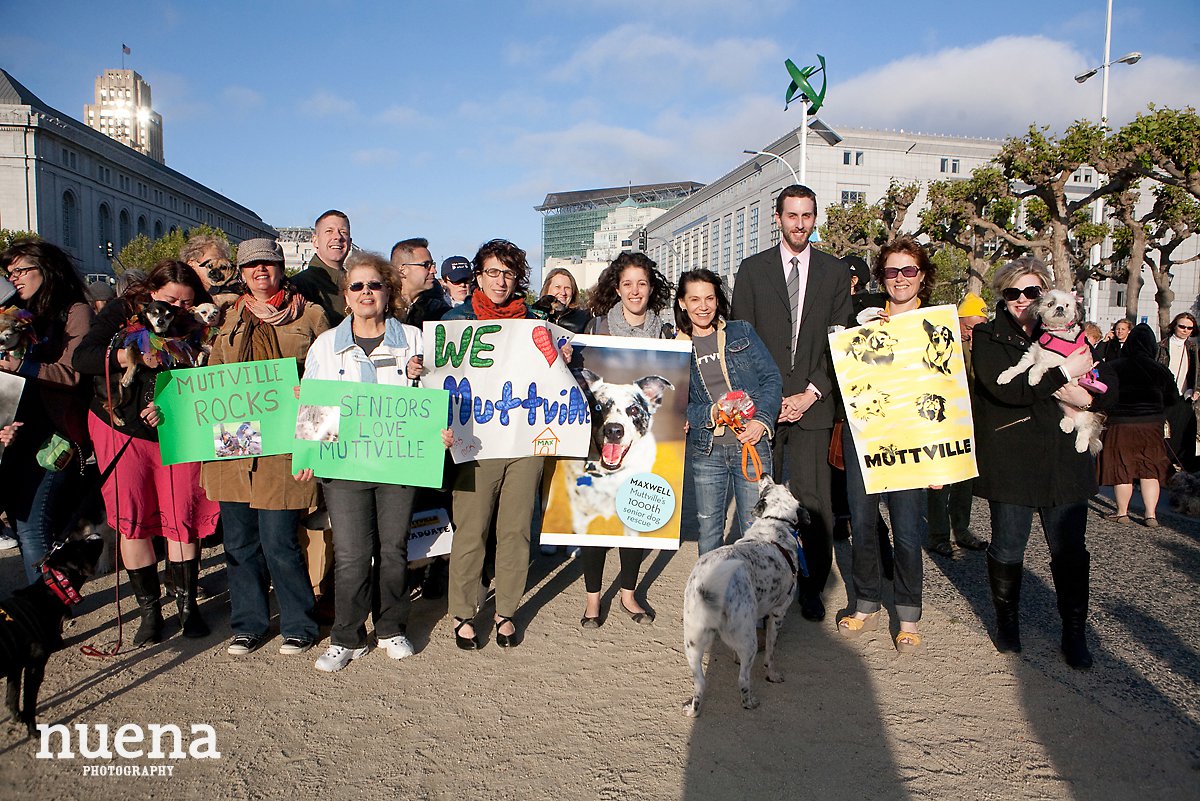 Muttville Senior Rescue Dog Day | San Francisco Dog Photographer