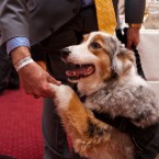 Nuena Photography | Petchitecture | San Francisco Event Photography