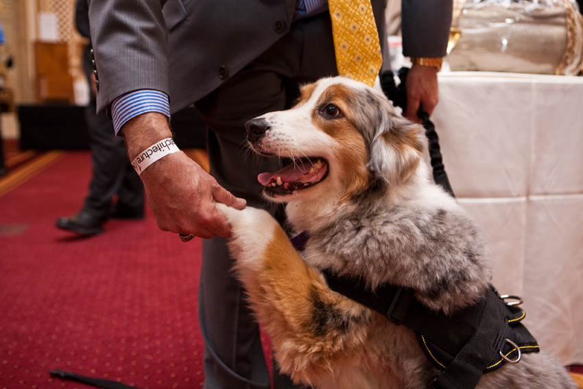 Nuena Photography | Petchitecture | San Francisco Event Photography Nuena Photography | Petchitecture | San Francisco Event Photography