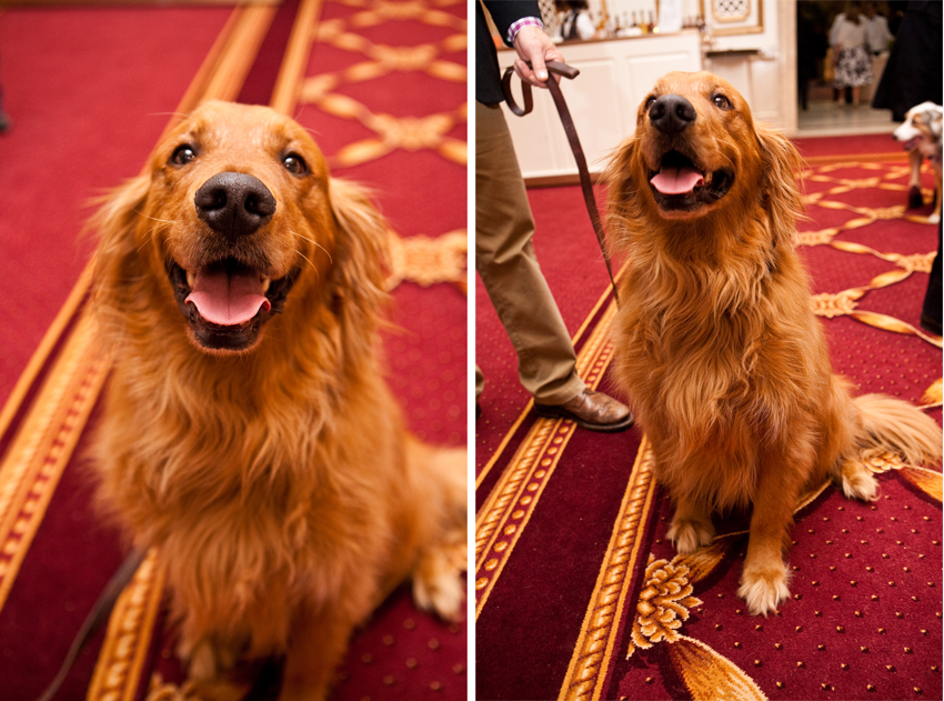 Nuena Photography | Petchitecture | San Francisco Event Photography Nuena Photography | Petchitecture | San Francisco Event Photography