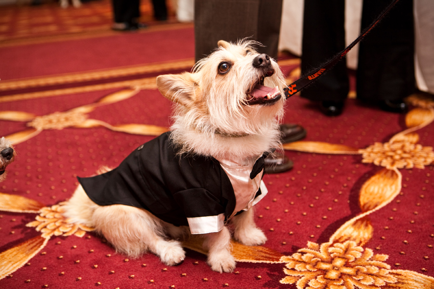 Nuena Photography | Petchitecture | San Francisco Event Photography Nuena Photography | Petchitecture | San Francisco Event Photography