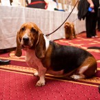 Nuena Photography | Petchitecture | San Francisco Event Photography
