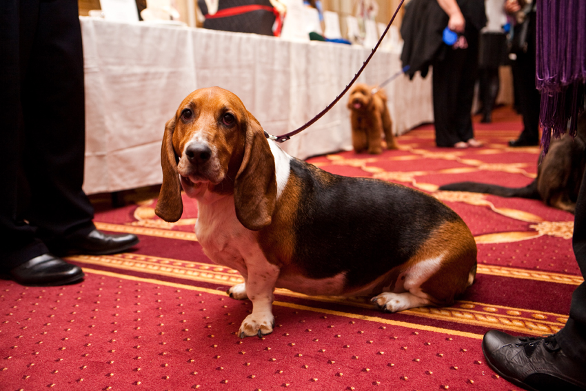 Nuena Photography | Petchitecture | San Francisco Event Photography Nuena Photography | Petchitecture | San Francisco Event Photography