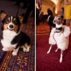 Nuena Photography | Petchitecture | San Francisco Event Photography
