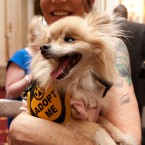 Nuena Photography | Petchitecture | San Francisco Event Photography