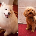 Nuena Photography | Petchitecture | San Francisco Event Photography