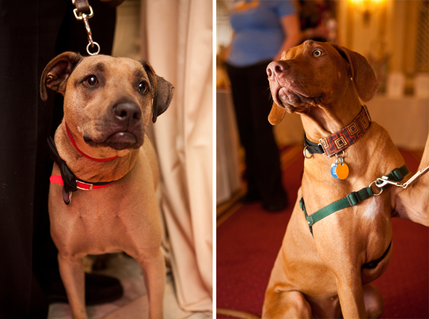 Nuena Photography | Petchitecture | San Francisco Event Photography Nuena Photography | Petchitecture | San Francisco Event Photography