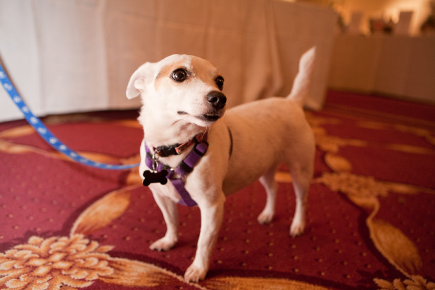 Nuena Photography | Petchitecture | San Francisco Event Photography Nuena Photography | Petchitecture | San Francisco Event Photography