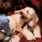 Nuena Photography | Petchitecture | San Francisco Event Photography