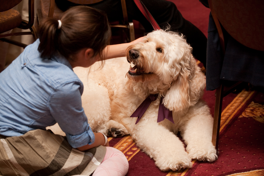 Nuena Photography | Petchitecture | San Francisco Event Photography Nuena Photography | Petchitecture | San Francisco Event Photography