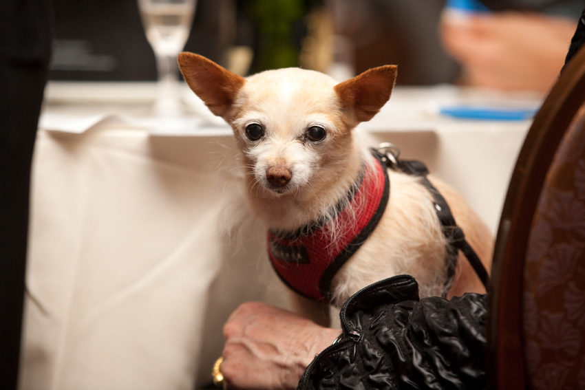 Nuena Photography | Petchitecture | San Francisco Event Photography Nuena Photography | Petchitecture | San Francisco Event Photography