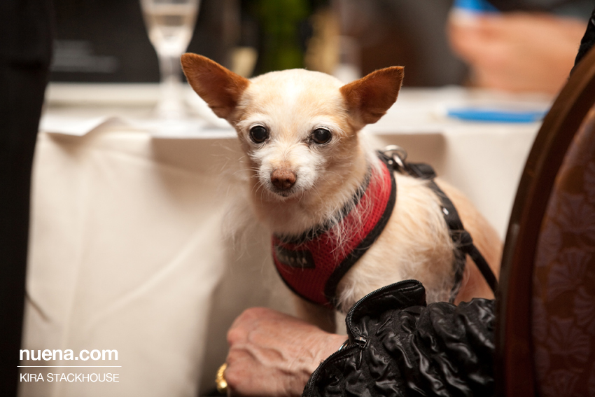 Nuena Photography | Petchitecture 2011 | San Francisco Event Photographer