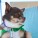 The Whole Enchihuahua | Nuena Photography thumbnail