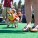 The Whole Enchihuahua | Nuena Photography thumbnail
