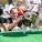 The Whole Enchihuahua | Nuena Photography thumbnail