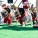 The Whole Enchihuahua | Nuena Photography thumbnail