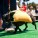 The Whole Enchihuahua | Nuena Photography thumbnail