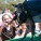The Whole Enchihuahua | Nuena Photography thumbnail