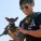 The Whole Enchihuahua | Nuena Photography thumbnail