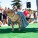 The Whole Enchihuahua | Nuena Photography thumbnail